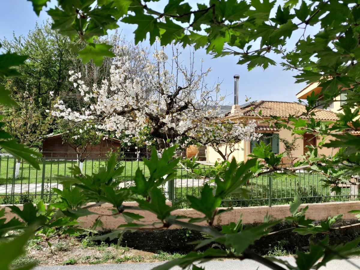 Marathias  The Lake House" -Trichonida Lake מראה חיצוני תמונה